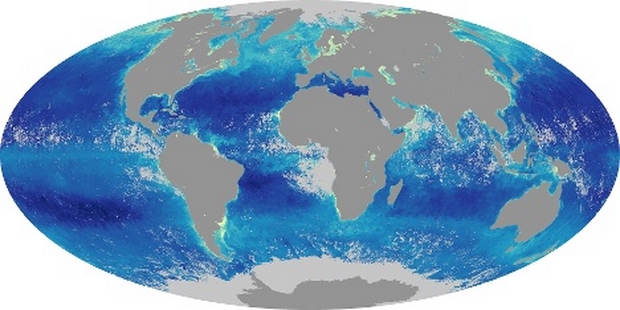 Carte du Monde Chlorophylle