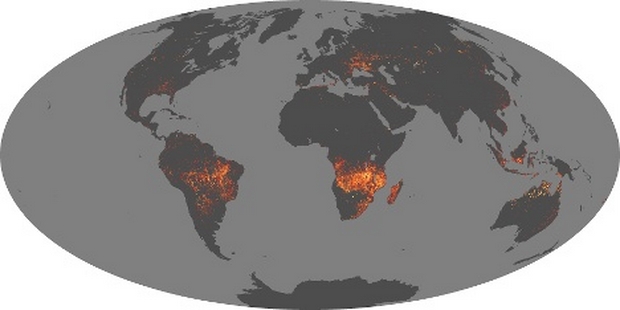 Carte feu dans le monde