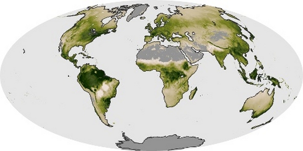 World Map Net Primary Productivity