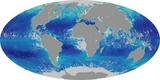 World Map Chlorophyll