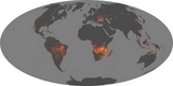 Kaart brand in de wereld