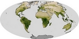 Carte du Monde végétation